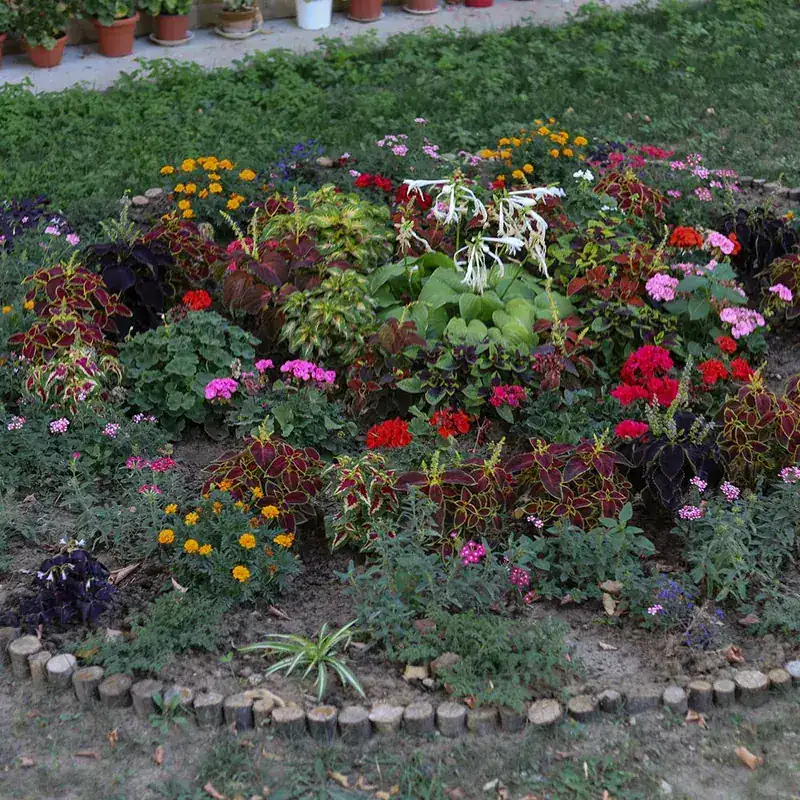 Localscape Conversions — Strong Landscape