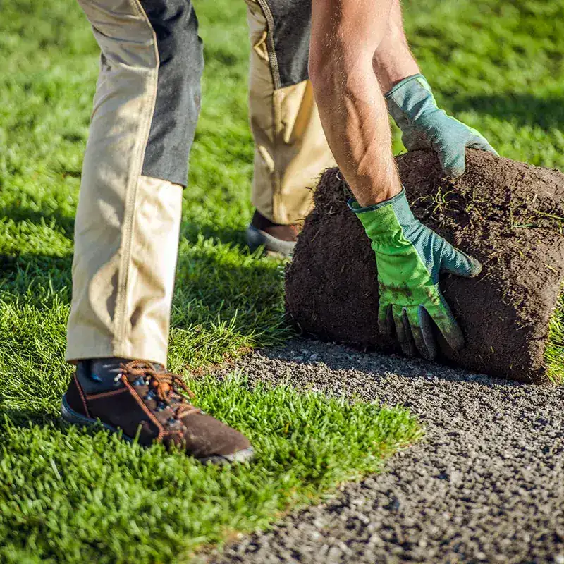 Sod & Turf Installation — Strong Landscape