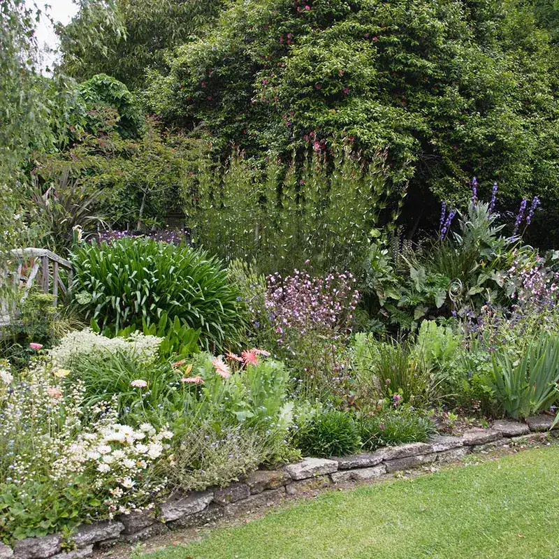 Landscape Design & Installation