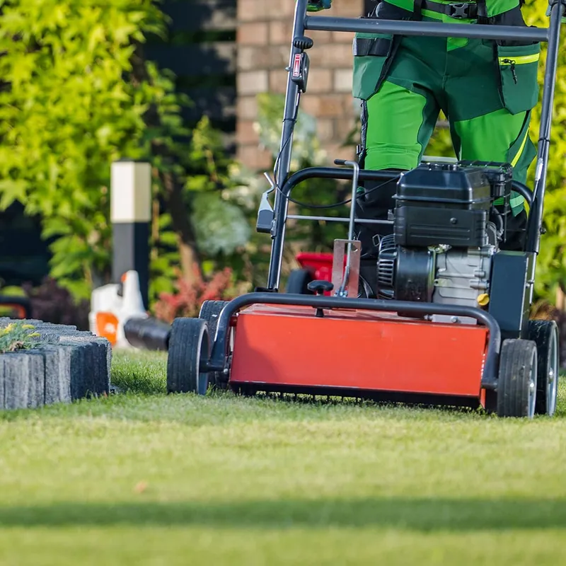 Lawn Mowing & Maintenance
